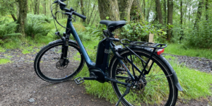 e-bike leaning against a tree in the forest